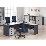 Economic Office Desk