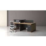 Alaska Office Workstation