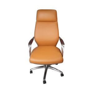 Thorny Brown Color Executive High Back Chair