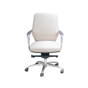 Thorny White Color Executive Low Back Chair