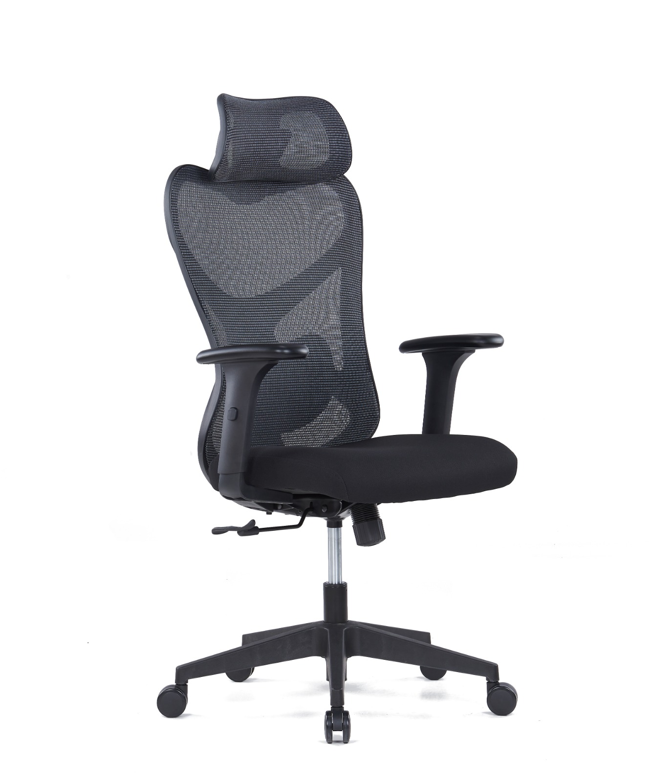 Exalto HB-B